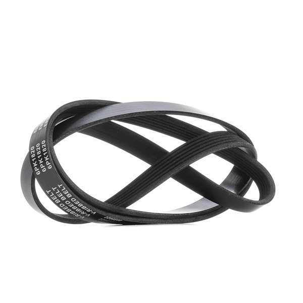 RIDEX Serpentine belt 305P0161