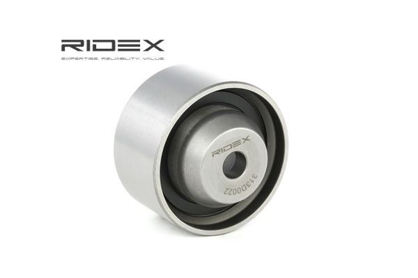 RIDEX 313D0022