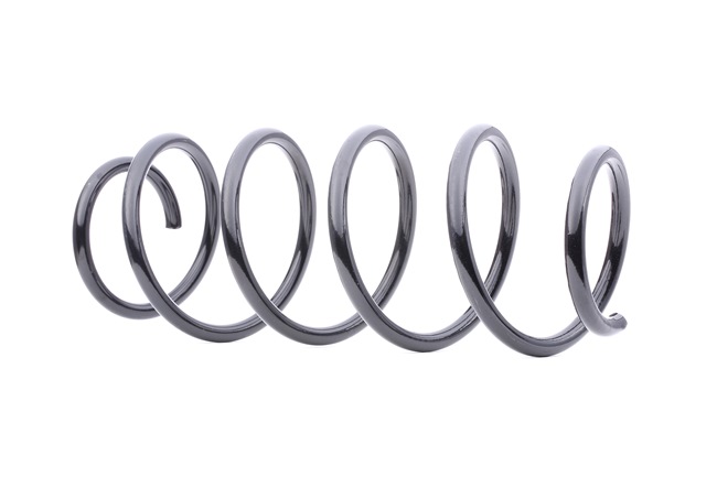 RIDEX 188C0193 Coil spring