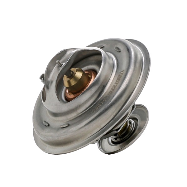 RIDEX Thermostat 316T0030