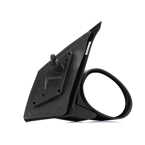 RIDEX Rétroviseur extérieur 50O0031