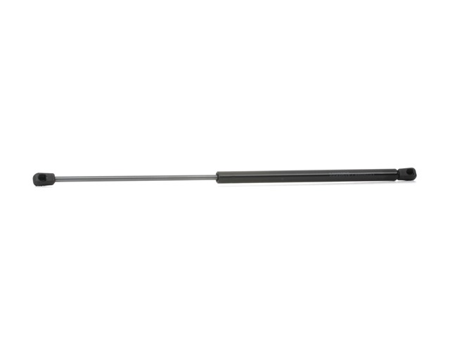 RIDEX Tailgate strut 219G0302