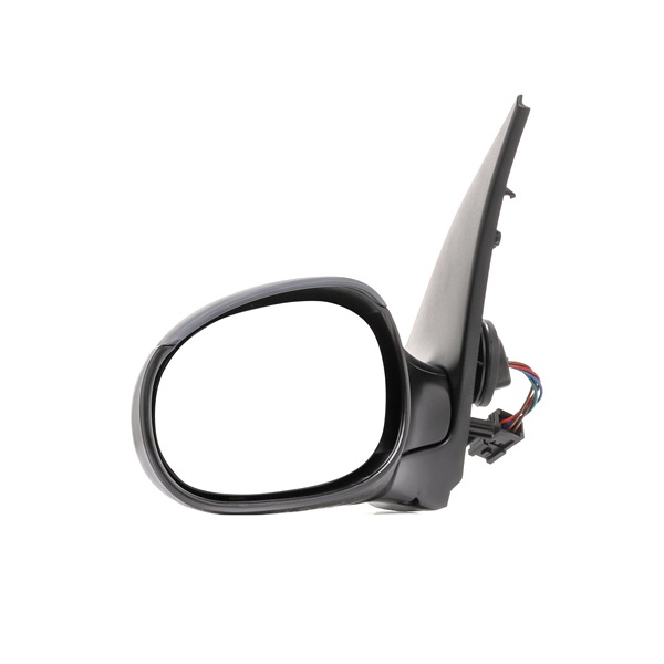 RIDEX Rétroviseur extérieur 50O0173