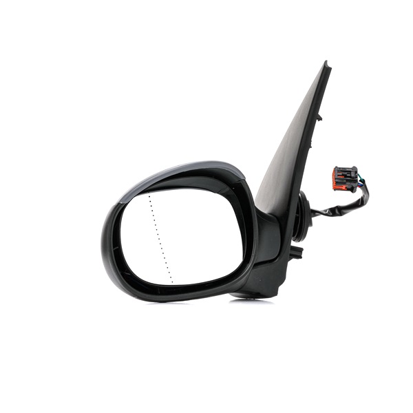 RIDEX Rétroviseur extérieur 50O0130