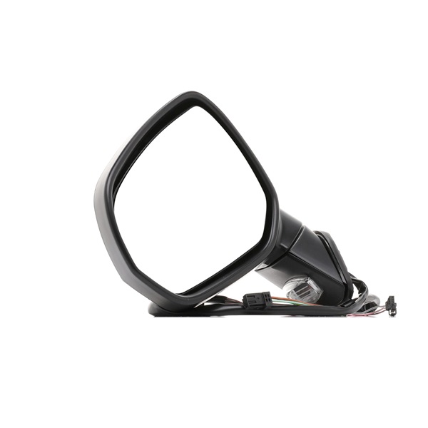 RIDEX 50O0261 Wing mirror 4059191380480