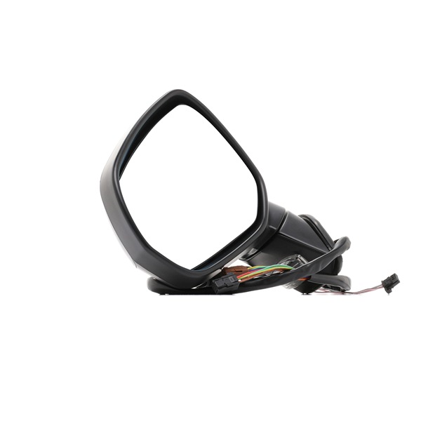 RIDEX 50O0077 Wing mirror