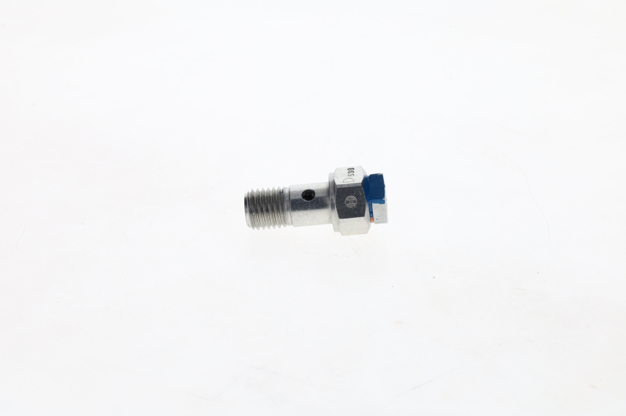1417413012 Overflow Valve BOSCH 9001875