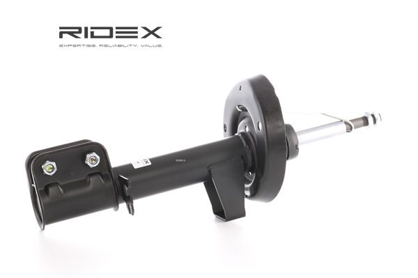 RIDEX Shock absorber 854S1479