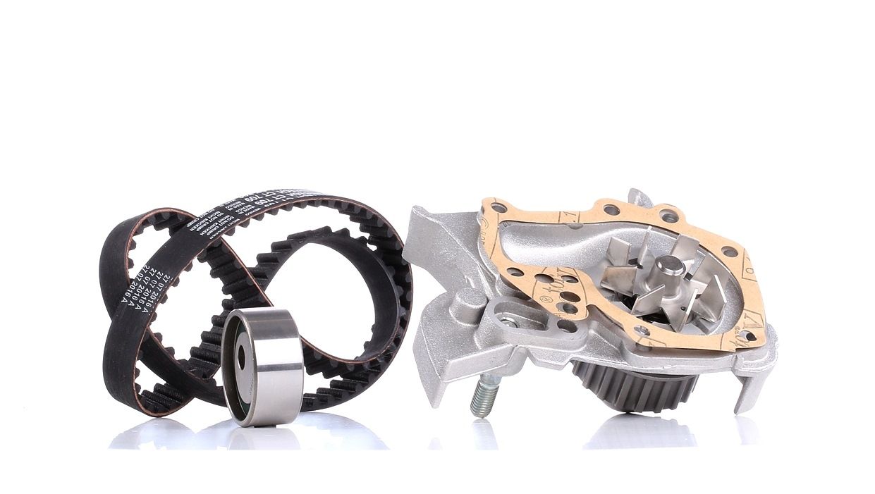 Renault MEGANE Timing belt kit with water pump 8254649 DOLZ KD017 online buy