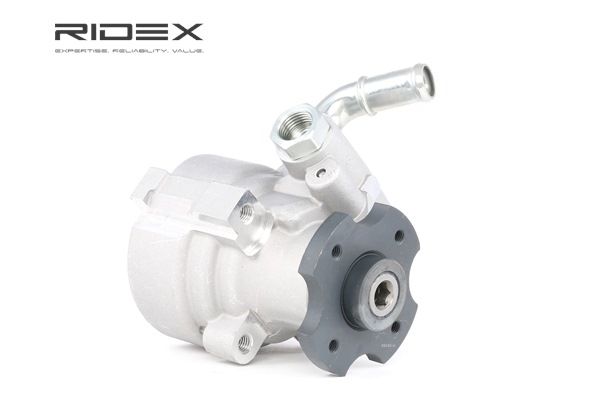 RIDEX Servopumpe 12H0100
