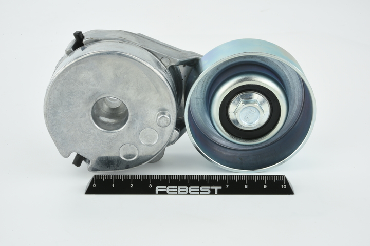 FEBEST 0290-T31 Tensioner pulley 11955-JD21A