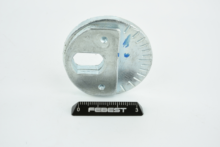 FEBEST 0431-002 Nachlaufschale, Achskörper
