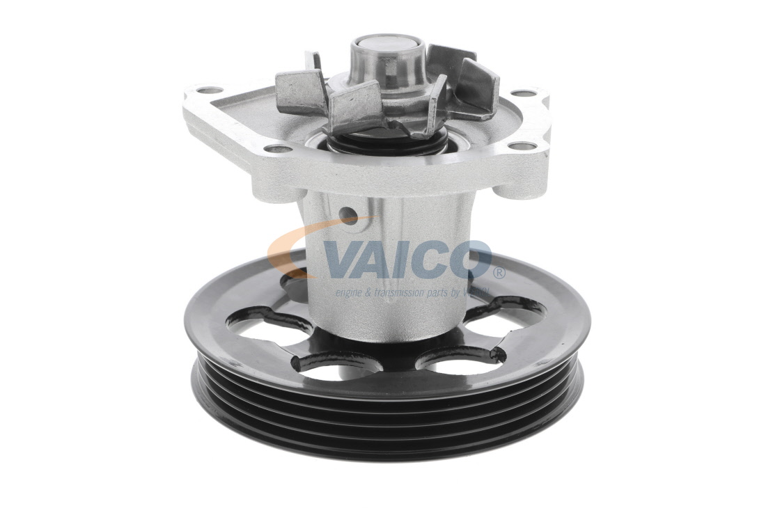 Toyota Paseo Cabrio Wasserpumpe VAICO V70-50009