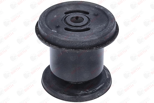 BIRTH 2434 Akselskaft lejring FIAT Palio I Hatchback (178) 1.2 60 HK Benzin 2002 pris