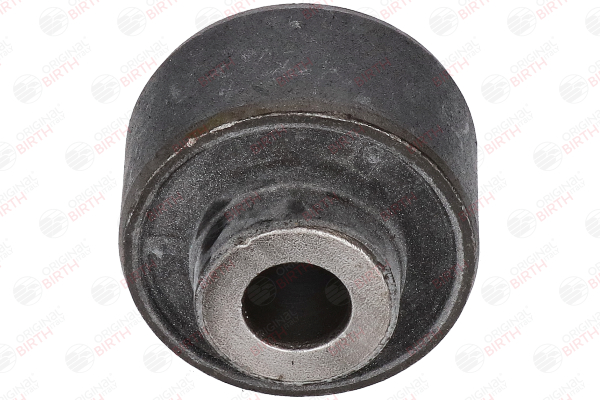 2784 Trailing arm / Suspension arm bush BIRTH 54560BA60A NISSAN
