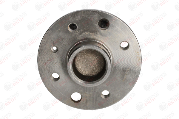 3423 BIRTH Prezon roata Opel Movano Van x70