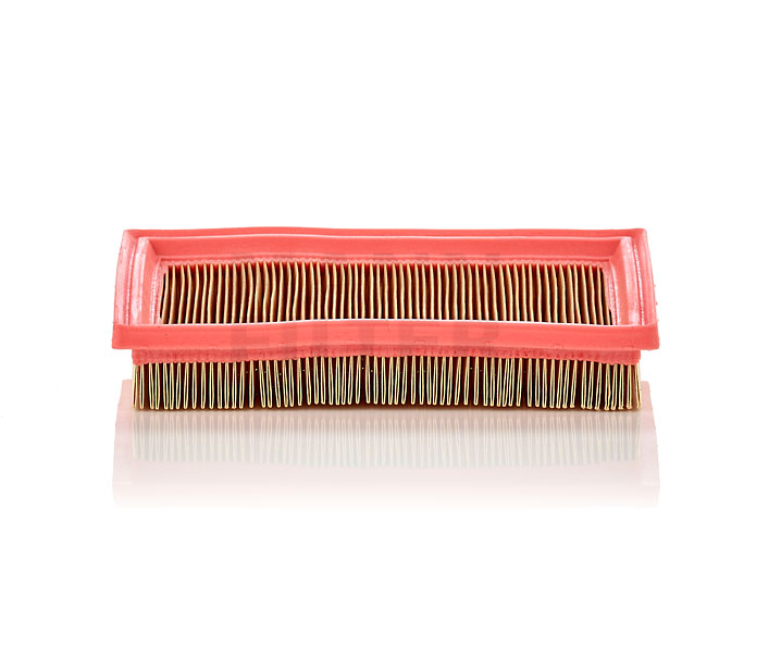 MANN-FILTER C 2244 Vzduchový filter