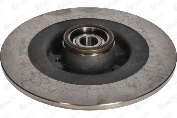 BIRTH Assale posteriore Sx, Assale posteriore Dx, 300x9,5mm, 5, pieno Ø: 300mm, N° fori: 5, Spessore disco freno: 9,5mm Dischi freno 3484 acquisto online