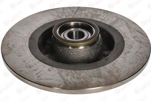 3487 BIRTH Hinterachse links, Hinterachse rechts, 274x9,5mm, 5, voll Ø: 274mm, Lochanzahl: 5, Bremsscheibendicke: 9,5mm Bremsscheibe 3487 günstig