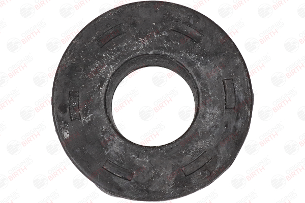 4842 Supporto braccio oscillante BIRTH 281 407 180