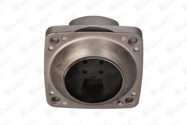 50188 Suporte, motor BIRTH 2512402618