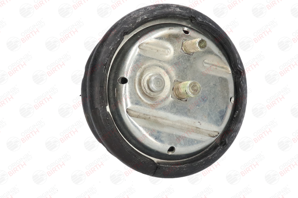 50417 BIRTH Vorderachse links 113 mm Motorlager 50417 günstig