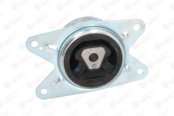 BIRTH Essieu avant gauche, avant, Essieu avant Silent bloc moteur 50491 acheter en ligne