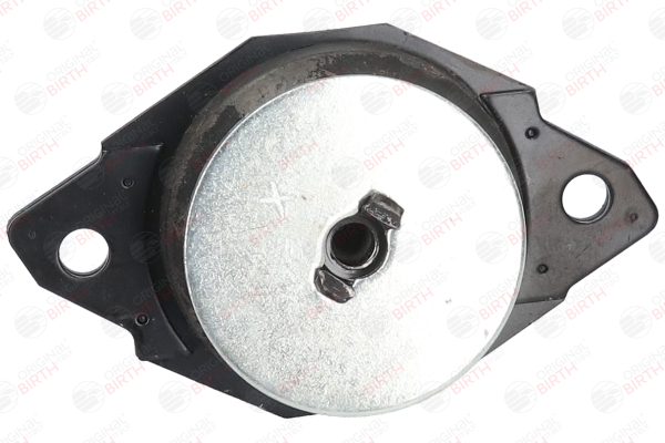 acheter BIRTH Essieu avant gauche, 106 mm 65 mm 50509 Support moteur 50509 à un bon prix