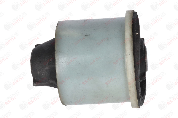 BIRTH 51513 Mounting axle bracket DACIA Duster Off-Road 1.6 16V 4x4 105 hp Petrol 2010 price