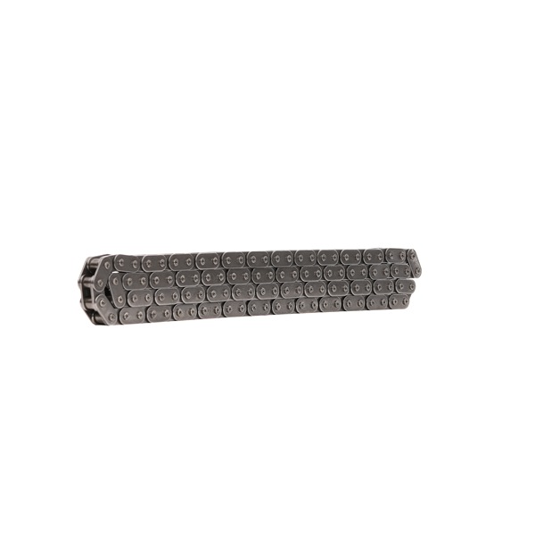 INA 553 0255 10 Steuerkette